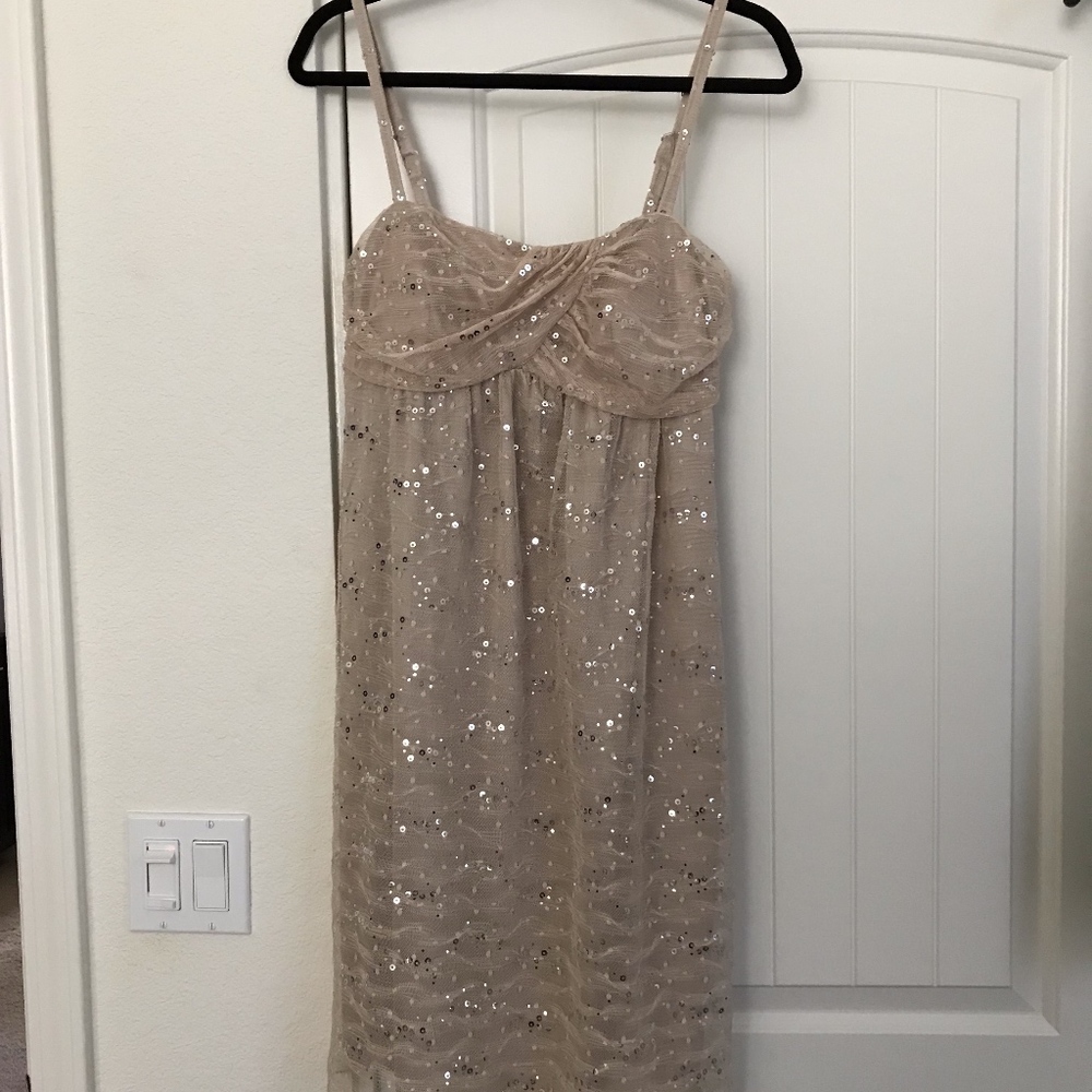 Nude Sequin Dress